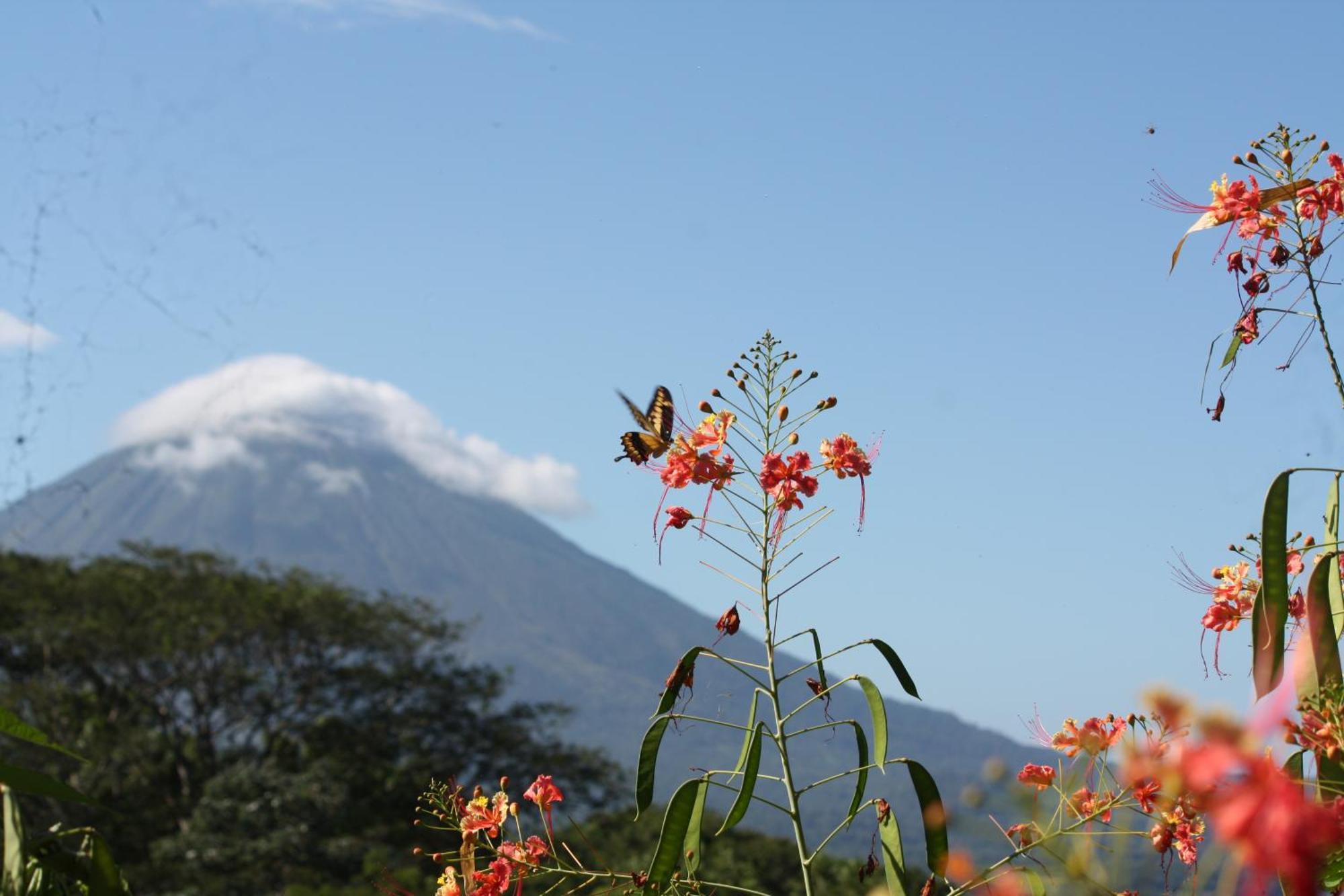 Totoco Eco Resort Balgue Luaran gambar